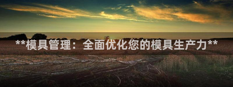 太阳成集团tyc234cc—首页欢迎您：**模具管理：全面优化您的模具生产力**