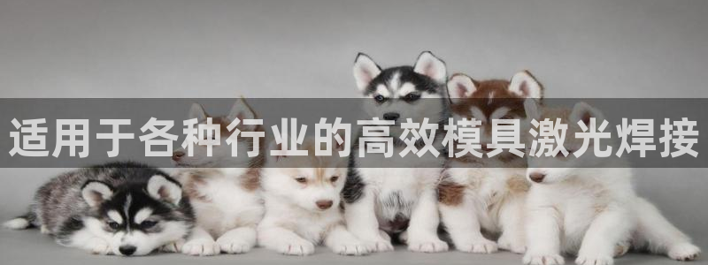 太阳集团股份有限公司是国企吗：适用于各种行业的高效模具激光焊接