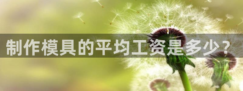 太阳成集团tyc234cc福利：制作模具的平均工资是多少？