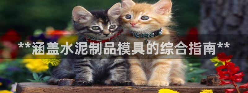 太阳2游戏娱乐官网：**涵盖水泥制品模具的综合指南**