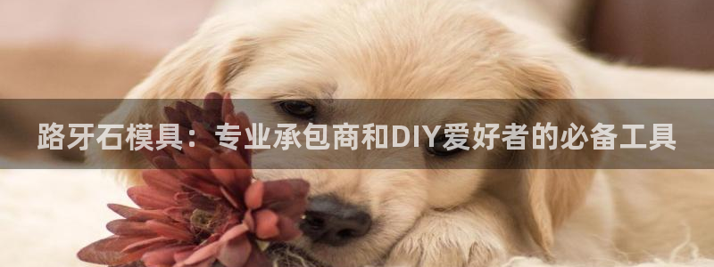 太阳成集团tyc33455cc平台：路牙石模具：专业承包商和DIY爱好者的必备工具