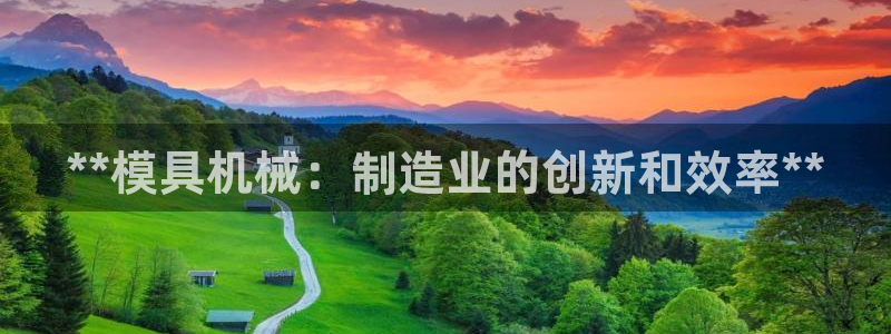 太阳成集团tyc234cc官网：**模具机械：制造业的创新和效率**