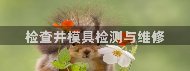 古天乐 太阳灯：检查井模具检测与维修