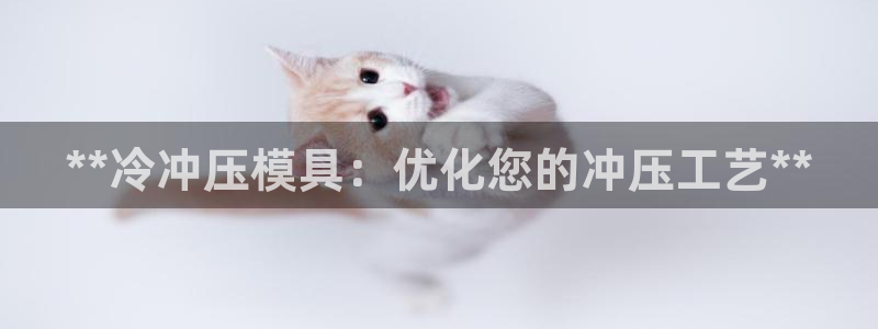 太阳成集团网站5