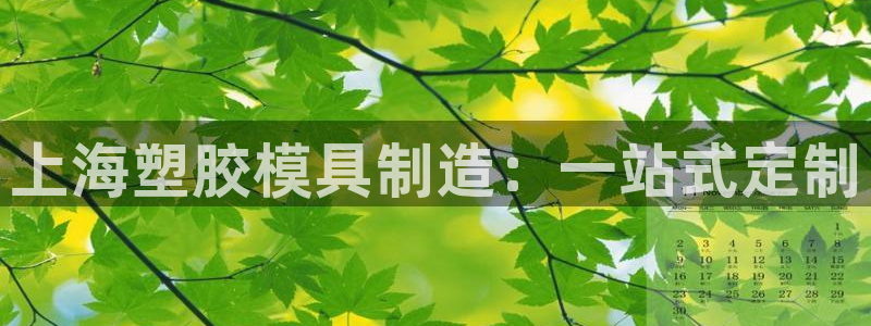 古天乐和太阳集团什么关系知乎：上海塑胶模具制造：一站式定制