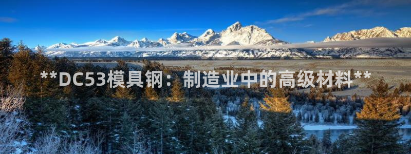 太阳集团游戏城旧版5376：**DC53模具钢：制造业中的高级材料**