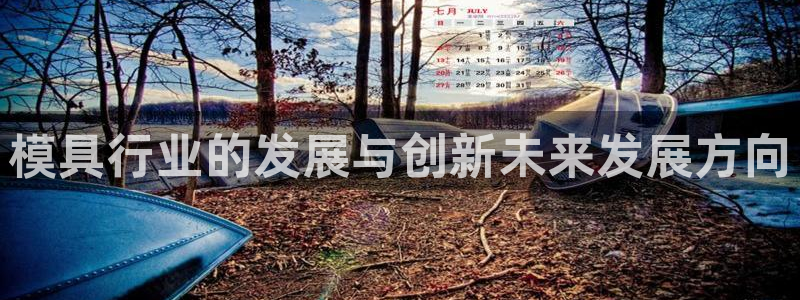 太阳成集团tyc9728：模具行业的发展与创新未来发展方向