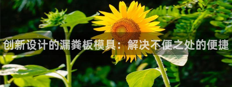 太阳app下载网址进入：创新设计的漏粪板模具：解决不便之处的便捷