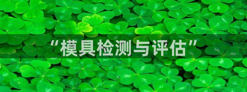 冷たい太阳：“模具检测与评估”