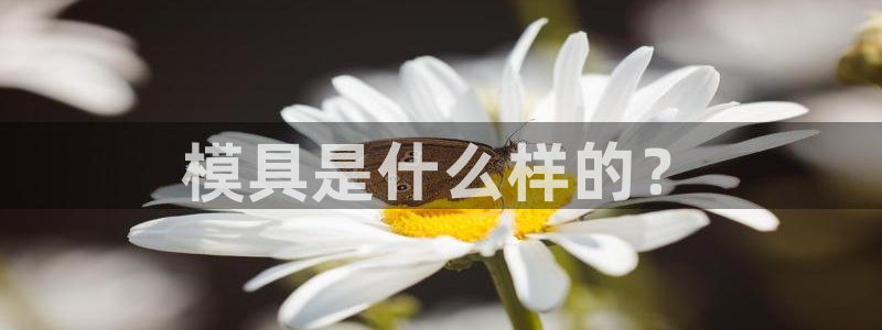 太阳阳城集团有限公司：模具是什么样的？
