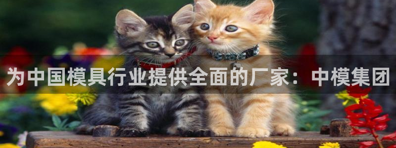 太阳集团唯一值得信赖网：为中国模具行业提供全面的厂家：中模集团