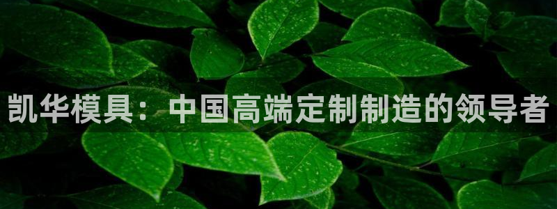 太阳成集团游戏是正规平台嚒：凯华模具：中国高端定制制造的领导者