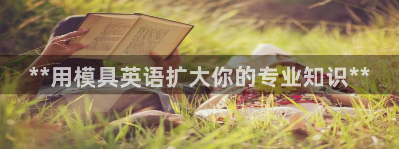 太阳诚集团有限公司是国企吗：**用模具英语扩大你的专业知识**