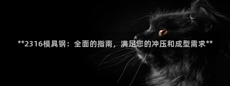太阳集团官网导航下载：**2316模具钢：全面的指南，满足您的冲压和成型需求**