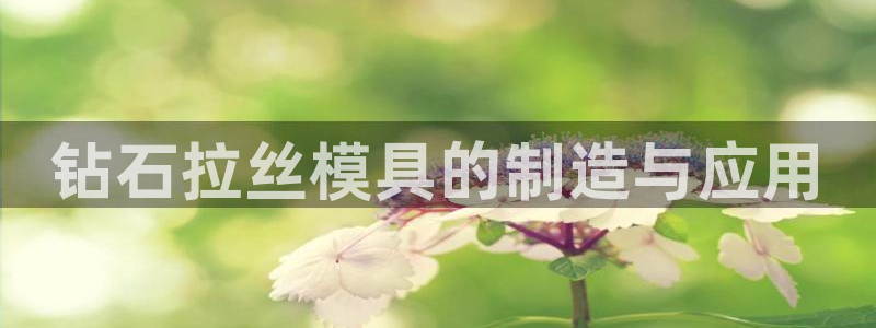 太阳集团游戏城旧版2.1.9：钻石拉丝模具的制造与应用