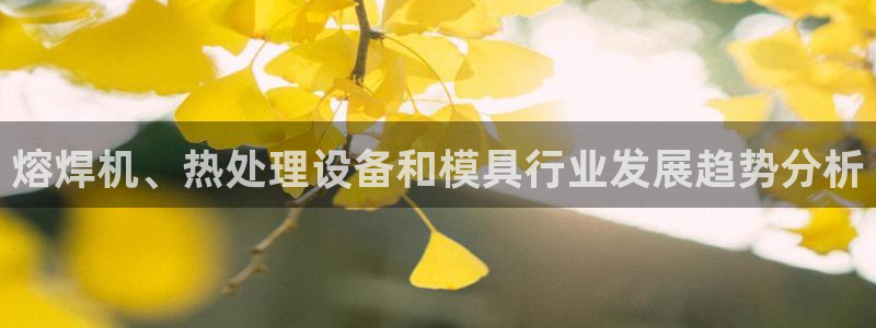 太阳集团备用网址：熔焊机、热处理设备和模具行业发展趋势分析