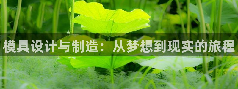 太阳诚集团有限公司是国企吗还是私企
