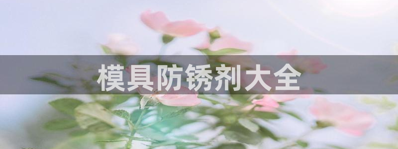 太阳集团董事长是谁照片：模具防锈剂大全