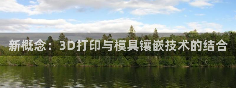 太阳集团董事长是谁照片：新概念：3D打印与模具镶嵌技术的结合