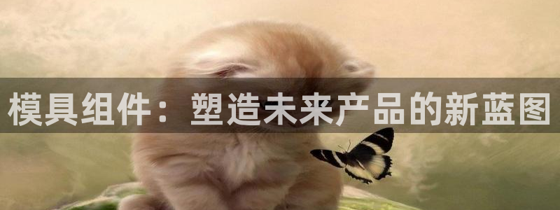 澳门太阳集团洗米华：模具组件：塑造未来产品的新蓝图