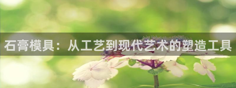 太阳app安卓版