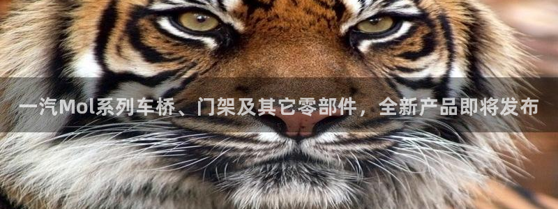 太阳阳城集团太阳卡：一汽Mol系列车桥、门架及其它零部件，全新产品即将发布