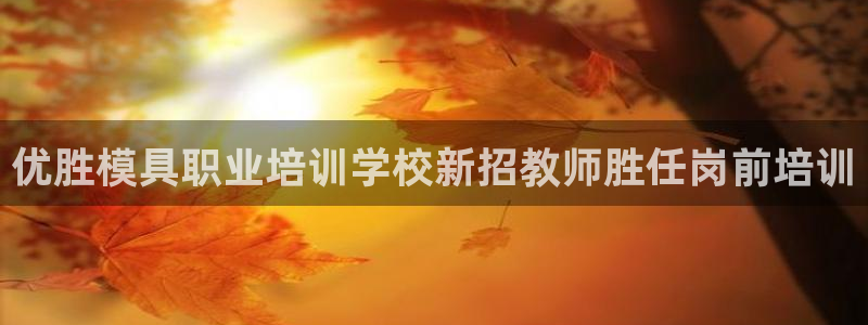 太阳成集团下载：优胜模具职业培训学校新招教师胜任岗前培训