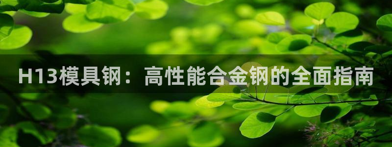 15vip太阳集团：H13模具钢：高性能合金钢的全面指南