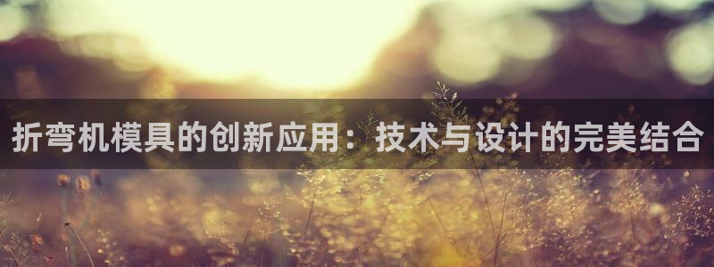 太阳成集团tyc33455cc平台：折弯机模具的创新应用：技术与设计的完美结合