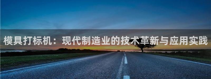 太阳手机游戏：模具打标机：现代制造业的技术革新与应用实践
