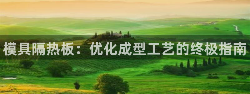太阳集团电视剧：模具隔热板：优化成型工艺的终极指南