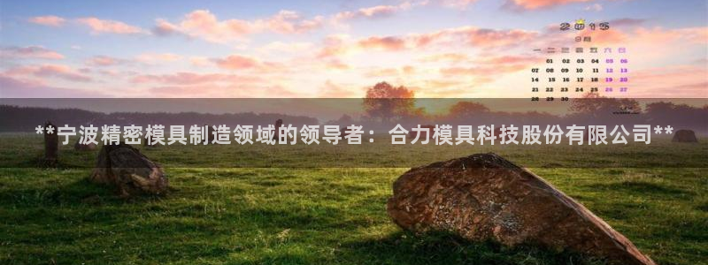 太阳集团唯一值得信赖网站是什么：**宁波精密模具制造领域的领导者：合力模具科技股份有限公司**