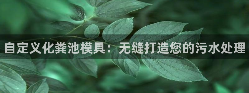 太阳集团游戏软件：自定义化粪池模具：无缝打造您的污水处理