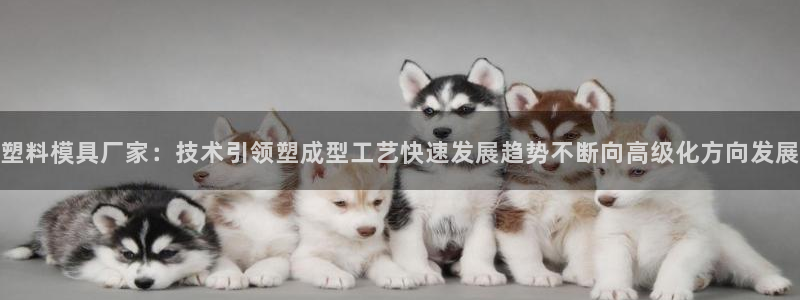 太阳集团官网8722：塑料模具厂家：技术引领塑成型工艺快速发展趋势不断向高级化方向发展