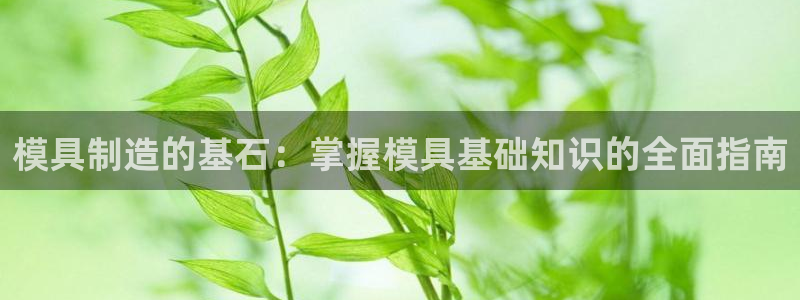 太阳集团旗下品牌：模具制造的基石：掌握模具基础知识的全面指南