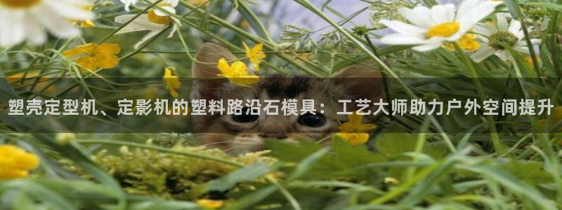 太阳集团2018登录网址是多少：塑壳定型机、定影机的塑料路沿石模具：工艺大师助力户外空间提升
