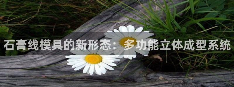 太阳集团2007：石膏线模具的新形态：多功能立体成型系统
