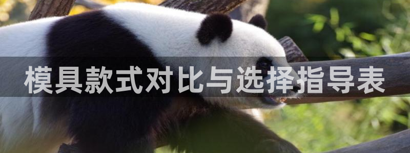 太阳成集团是什么：模具款式对比与选择指导表
