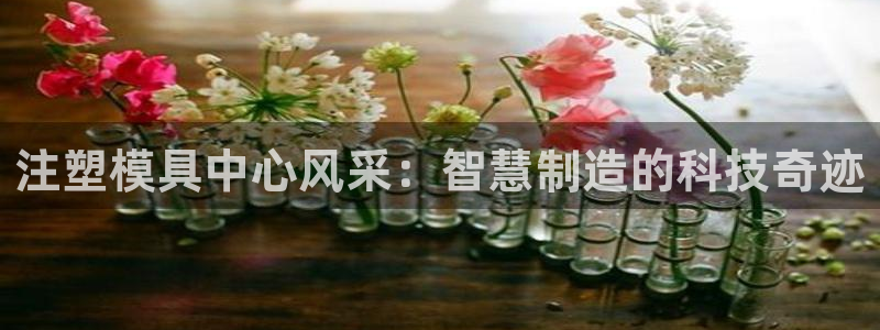 太阳集团娱乐网8722手机登录：注塑模具中心风采：智慧制造的科技奇迹