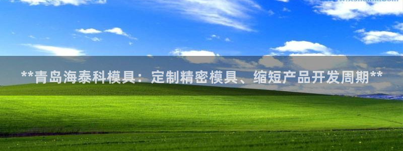冷たい太阳：**青岛海泰科模具：定制精密模具、缩短产品开发周期**