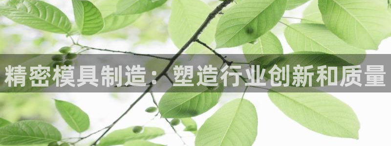 太阳gg登陆测试：精密模具制造：塑造行业创新和质量