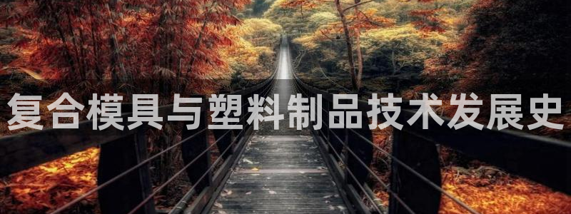 太阳诚集团APP：复合模具与塑料制品技术发展史