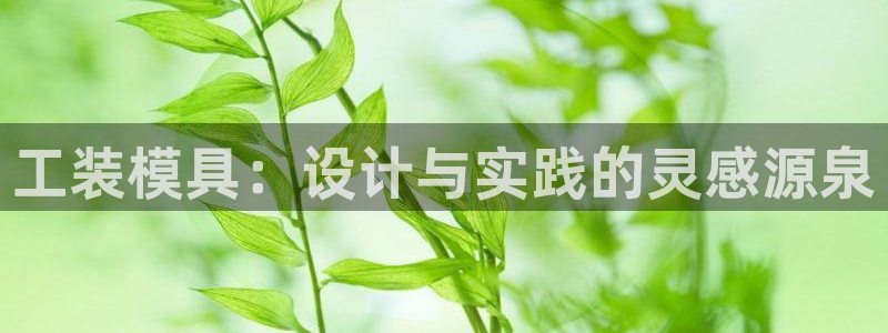 曲靖红太阳集团：工装模具：设计与实践的灵感源泉