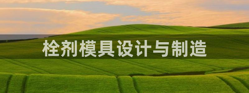 太阳成集团tyc234cc官网：栓剂模具设计与制造