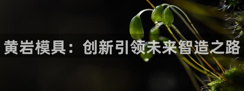 太阳成集团tyc234cc主页网站：黄岩模具：创新引领未来智造之路
