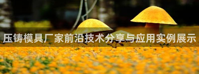 太阳http下载：压铸模具厂家前沿技术分享与应用实例展示