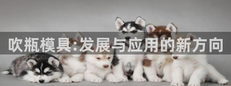 太阳集团电子游戏宙斯：吹瓶模具:发展与应用的新方向