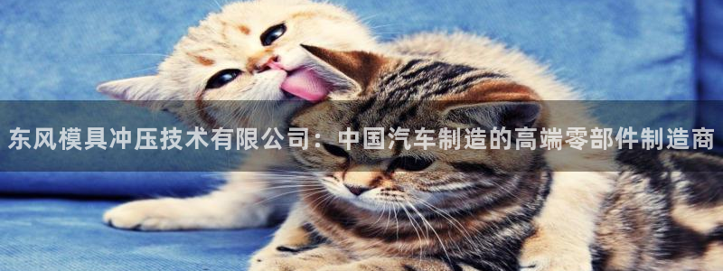 太阳集团市值：东风模具冲压技术有限公司：中国汽车制造的高端零部件制造商