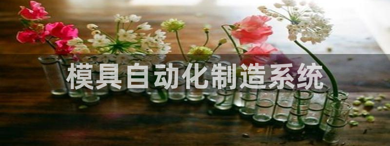 太阳成娱乐集团：模具自动化制造系统