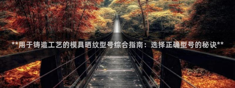 古天乐太阳网城：**用于铸造工艺的模具晒纹型号综合指南：选择正确型号的秘诀**